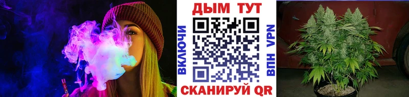 Наркотические вещества Сокол Бошки Шишки COCAIN Вейп ТГК Псилоцибиновые грибы Мефедрон ГАШИШ