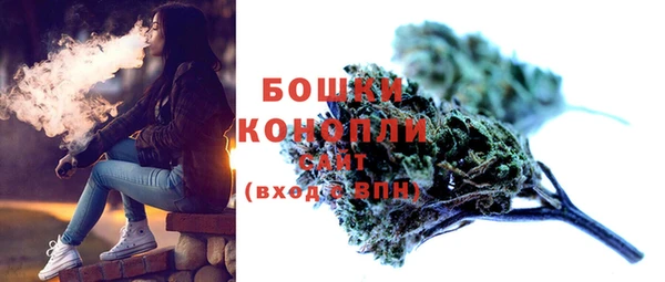 PSILOCYBIN Болотное