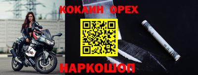 наркотики Кингисепп