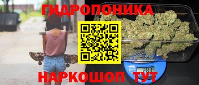 наркотики Кингисепп