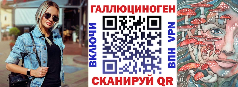 даркнет как зайти  Сокол  Галлюциногенные грибы Psilocybe 