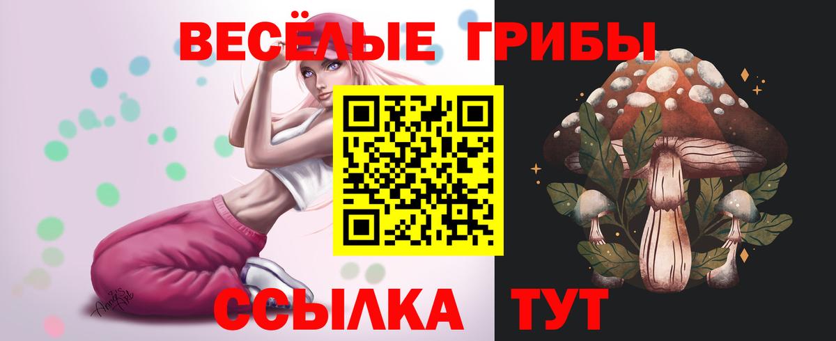 Галлюциногенные грибы ЛСД Сокол